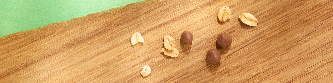 Crunchy Chocolate Chip